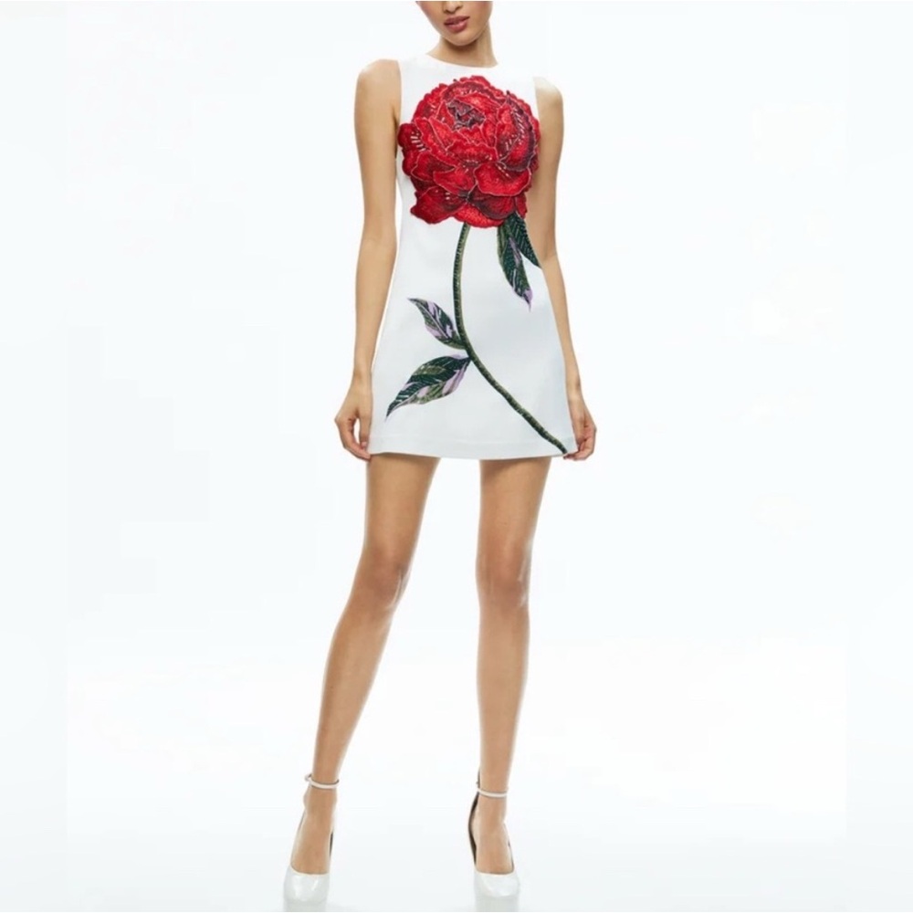 Alice & Olivia Red Rose Mini Dress - size 0